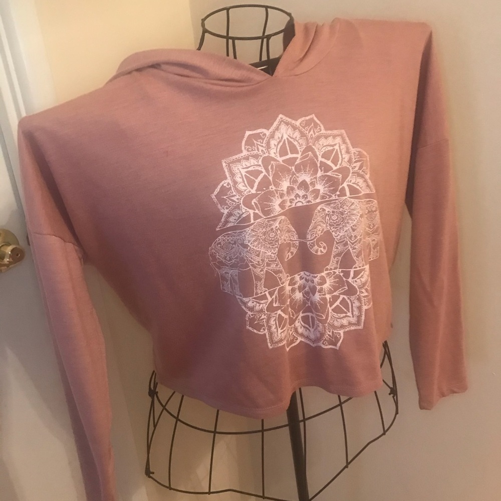 Charlotte Russe Crop Sweater